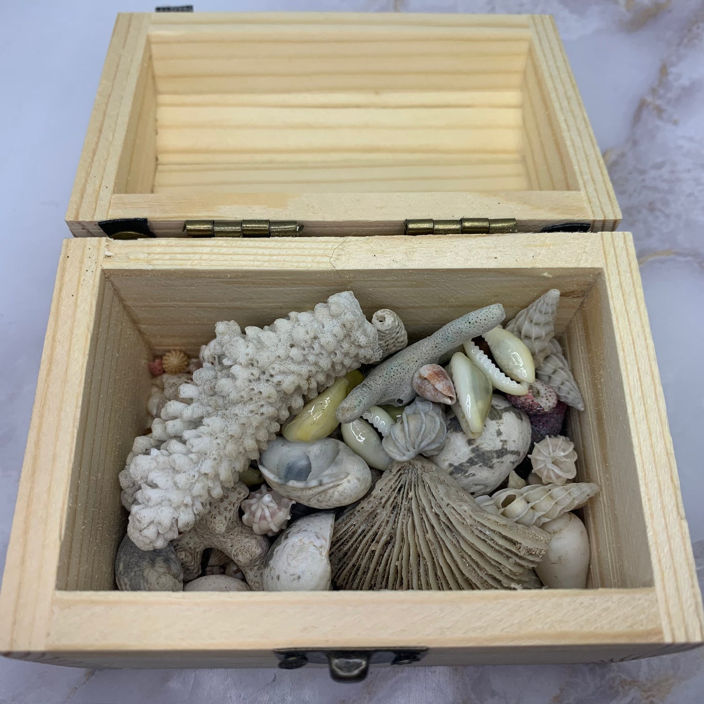 Ontdek dit charmante houten schatkistje gevuld met trommelstenen en koraal. Een prachtig spiritueel geschenk of uniek decorstuk vol natuurlijke energie.