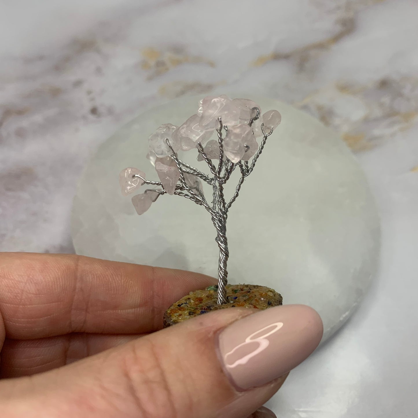 rozenkwarts edelsteenboompje