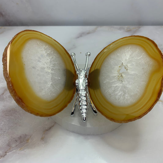 Gepolijste agaat vlinder voor collectie en decoratie