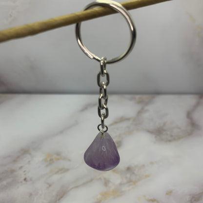 Waterman, maagd en vissen