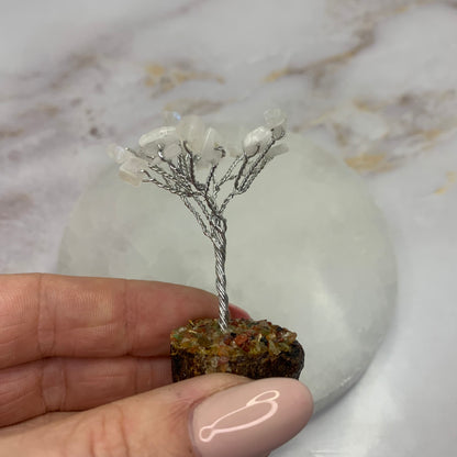 maansteen edelsteenboompje